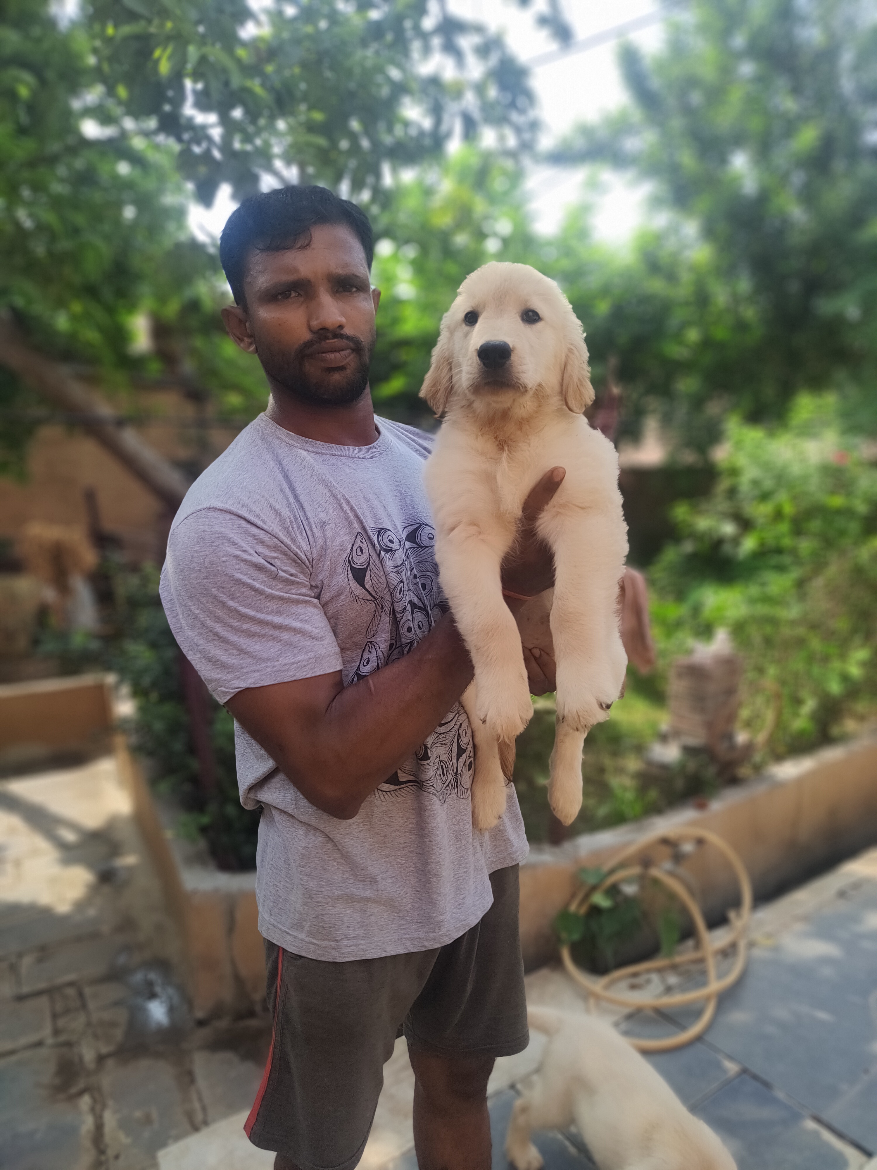 Dog Kennel in Bhopal