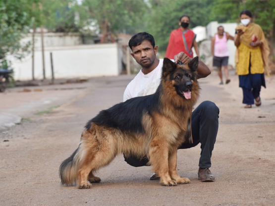 Dog Kennel and Pet Shop in Bhilai Durg Raipur Chhattisgarh